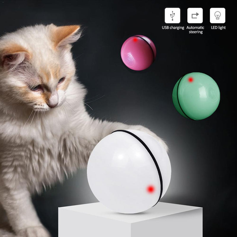 Pet's Toys